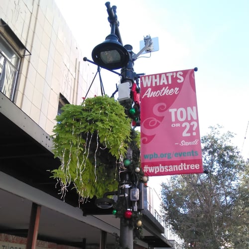 Picture of Sensors analyzing how people move along Clematis St