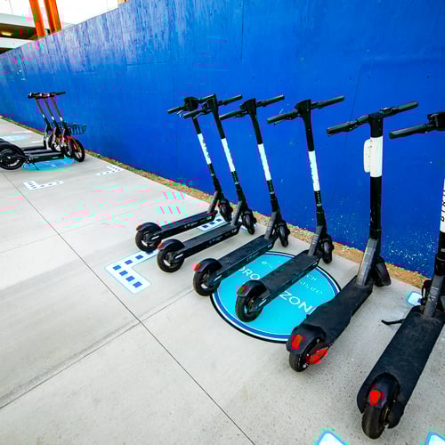 Picture of Bird Rides