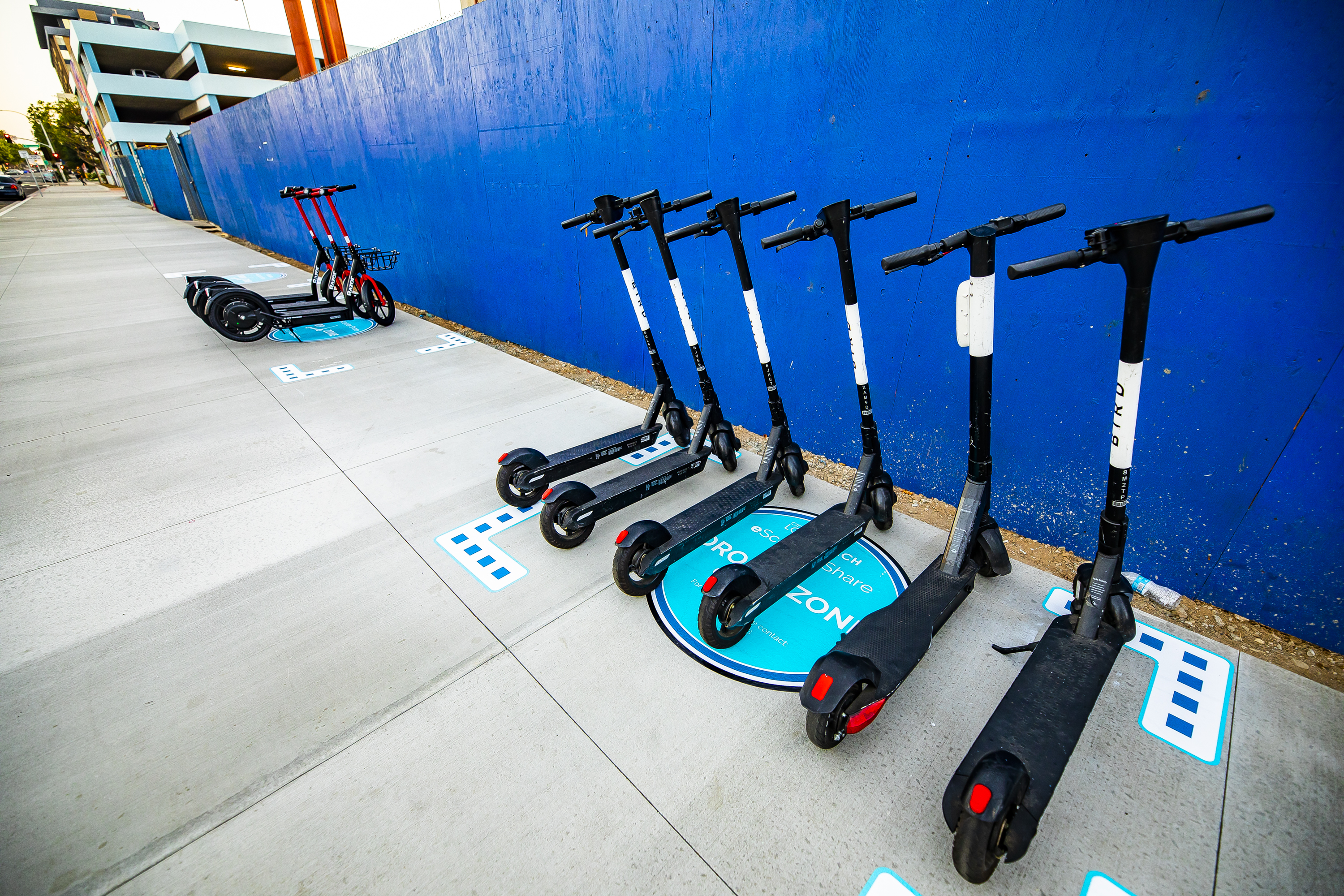 Picture of Bird Rides